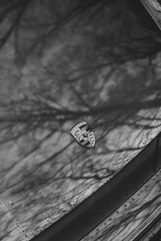 Porsche badge on wet car hood with tree reflections, luxury sports car detail