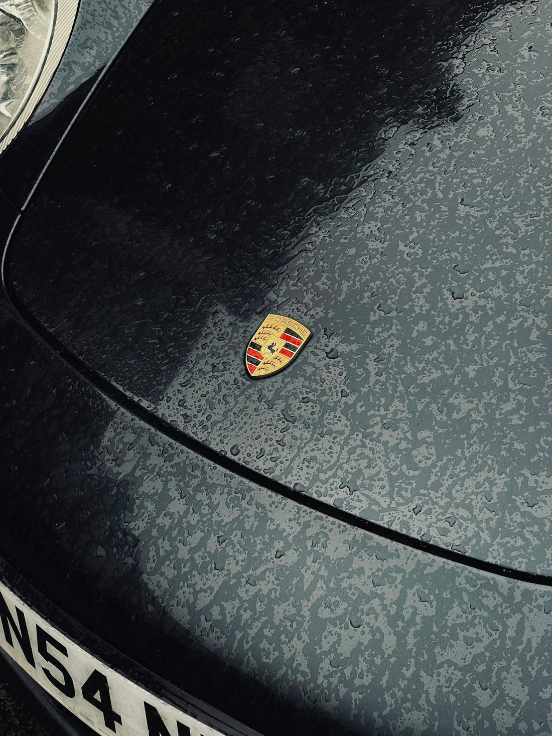 a close up of a porsche logo on the hood of a car