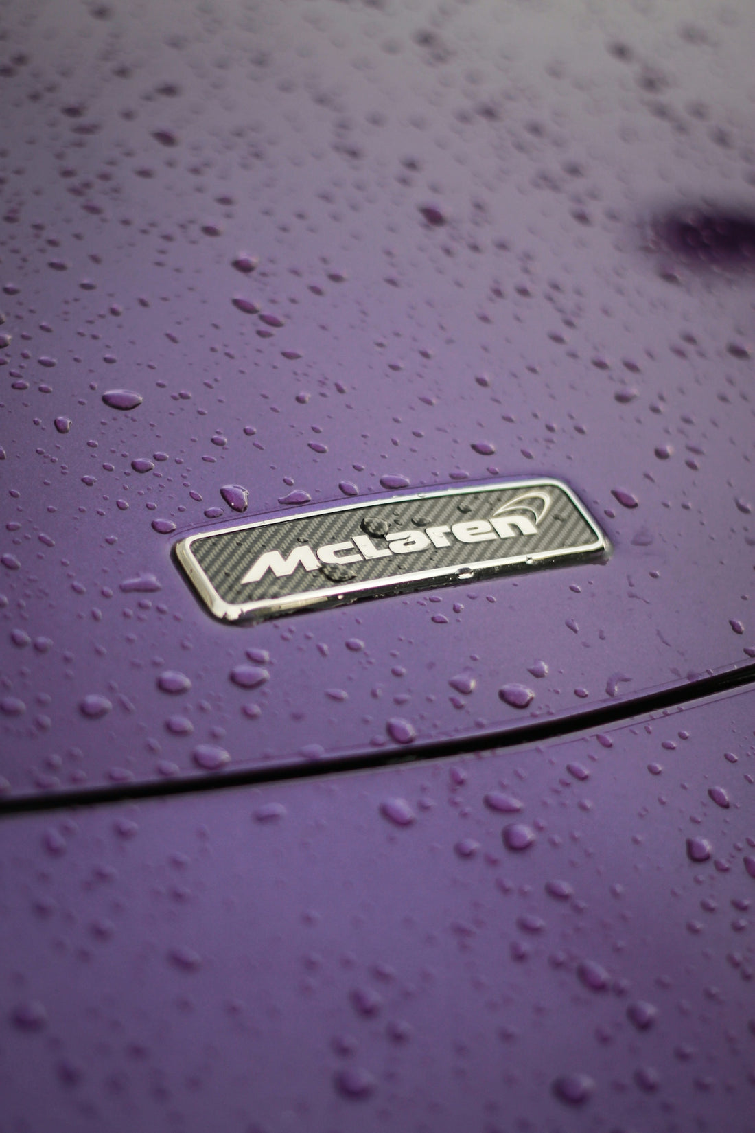 a close up of the emblem on a purple car