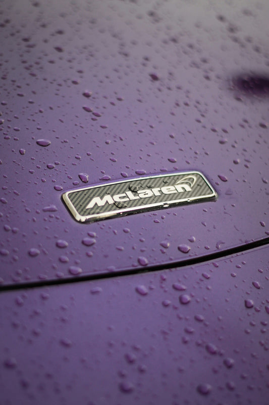 a close up of the emblem on a purple car