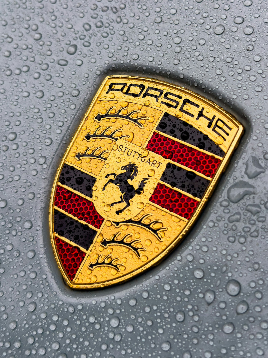 Close-up of Porsche emblem on wet grey car hood with water droplets, luxury sports car detail