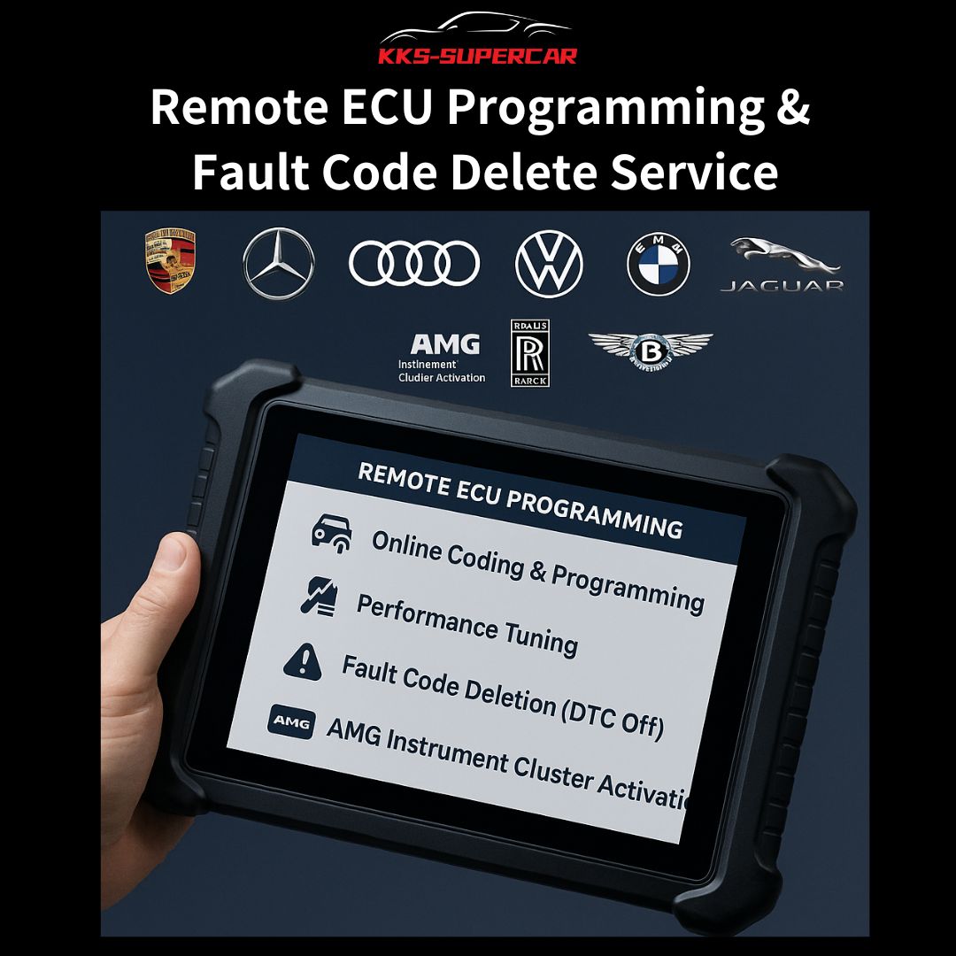 Remote ECU Programming & Fault Code Delete Service